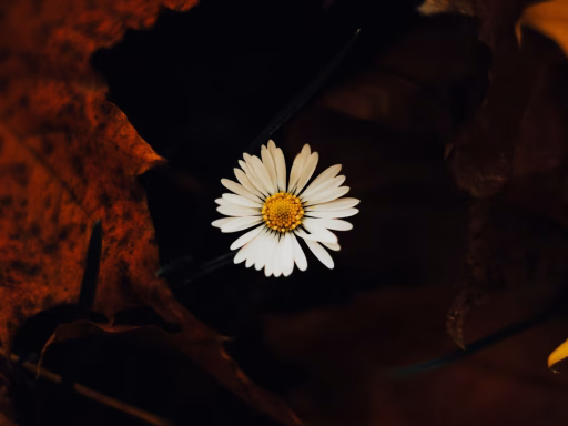 dementia-7-stages-lewy