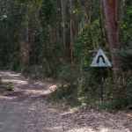 healthy mistake sign