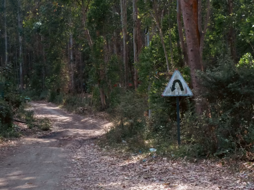 healthy mistake sign